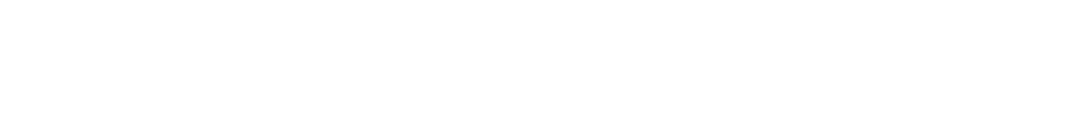 Neverland logo